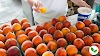 Unlocking the Health Benefits of Peaches: A Nutrient-Dense Fruit with Potential Drawbacks 🍑 🩺