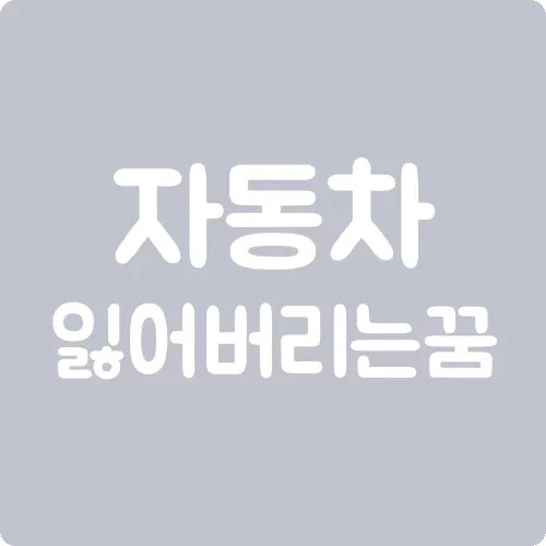 자동차를 잃어버리는 꿈