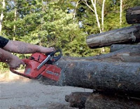 A man chainsaws through a log