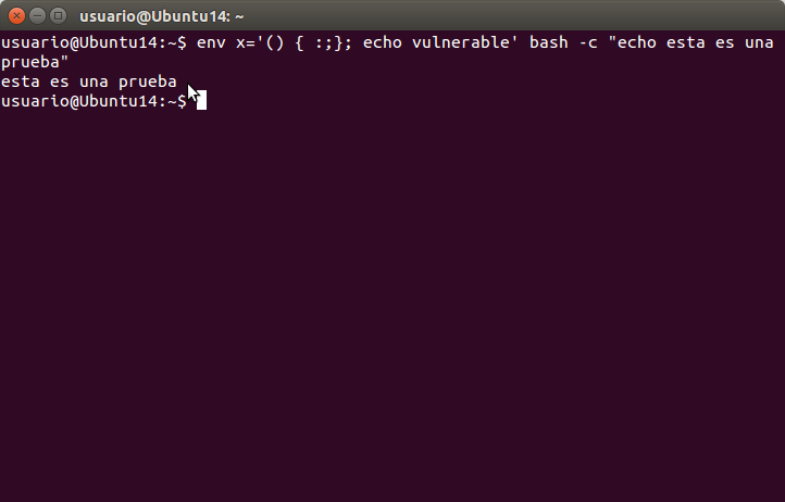 echo vulnerable' bash