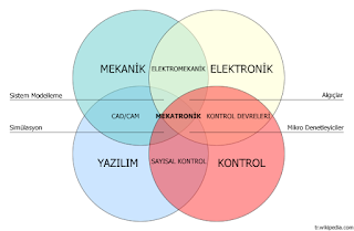 Mekatroniğin diğer mühendislik dallarıyla ilişkisi.