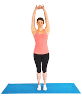 gerakan vertical stretch