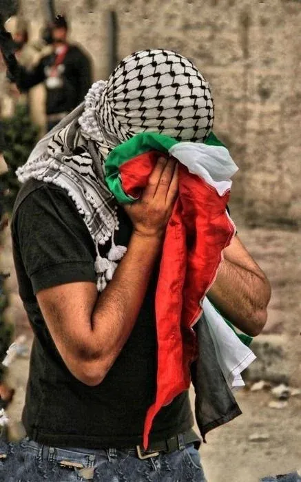 صور فلسطين 2023