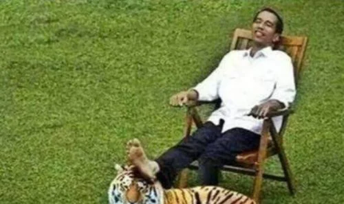 Jokowi Dibilang Goblok, Dibilang Firaun Santuy-Santuy Saja, Budayawan: Biarkan Mereka Merasa Dirinya Macan, Jokowi Lihatnya Kucing