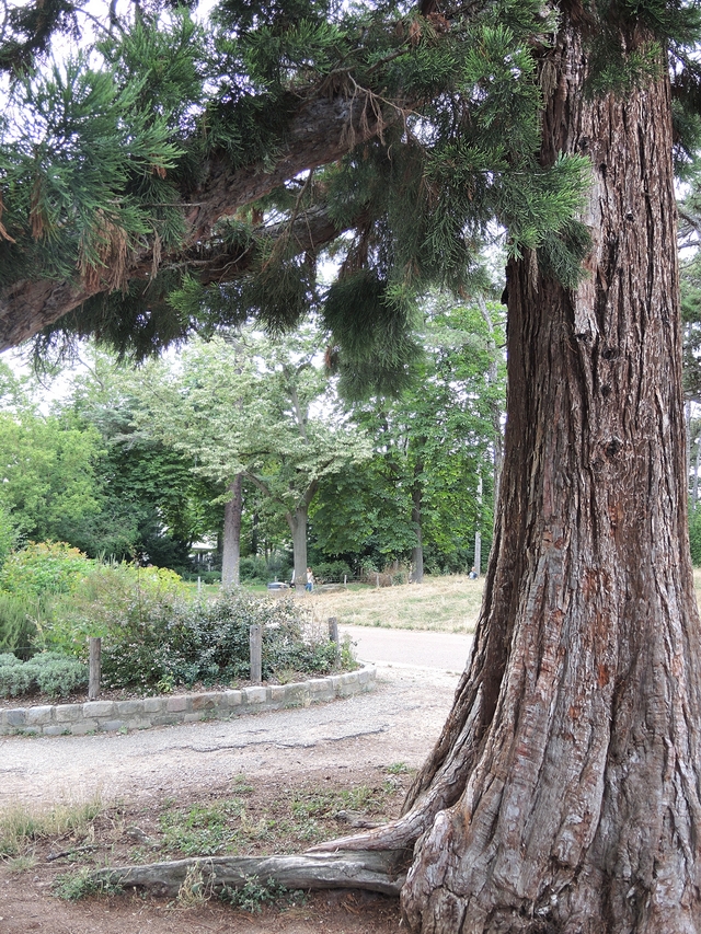 Parijs: een stukje Bois De Boulogne