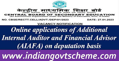 Additional Internal Auditor and Financial Advisor