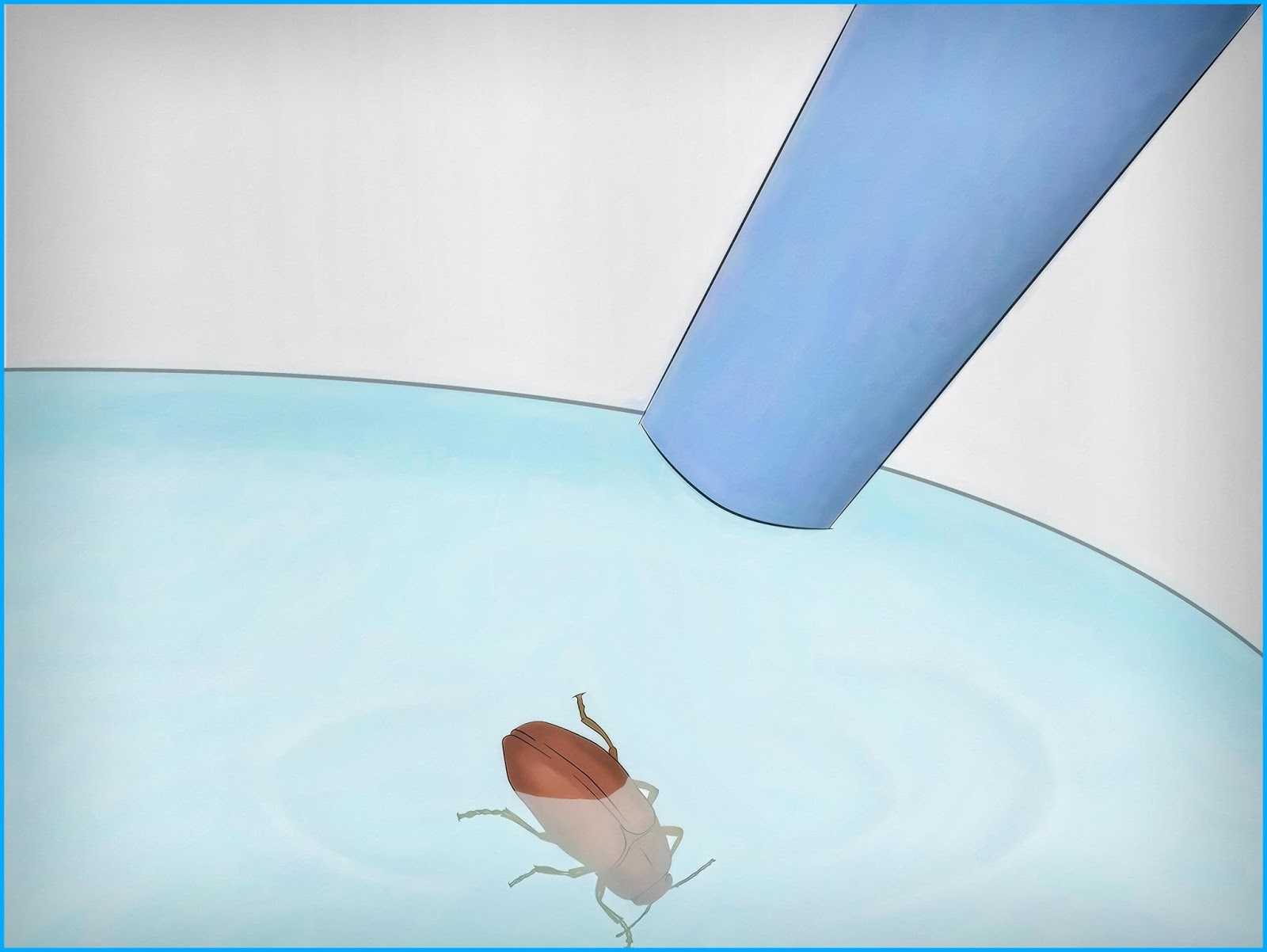 8 Kill Gnats In The Kitchen Ways to Get Rid Gnats Kill,Gnats,In,The,Kitchen 8 Kill Gnats In The Kitchen Ways to Get Rid Gnats Kill,Gnats,In,The,Kitchen