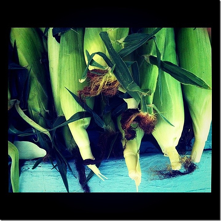 corn