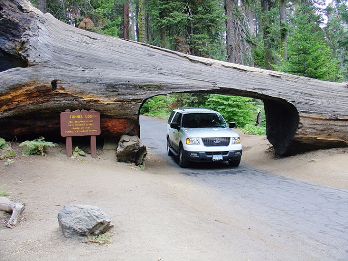 Tunnel Log