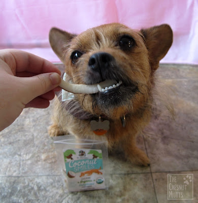 Jada eating a Dr. Harvey's Coconut Smile