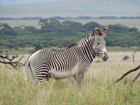 Nairobi National Park Entry Fees