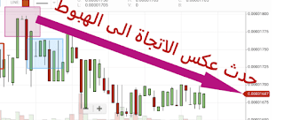 شمعة دوجي شاهد القبر تداول العملات الاكترونية