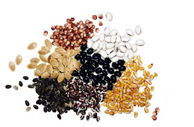 agricultural seeds