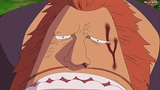 ワンピース アニメ 315話 サウロ | ONE PIECE Episode 315 Water 7