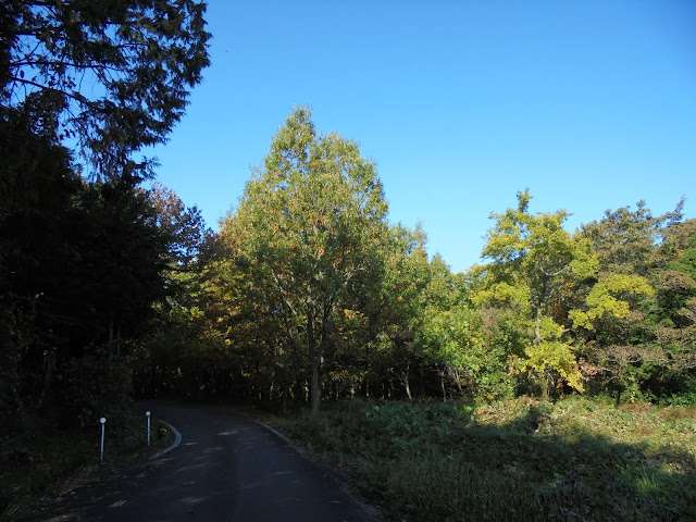 真野集落に向かう道を降りて行きます