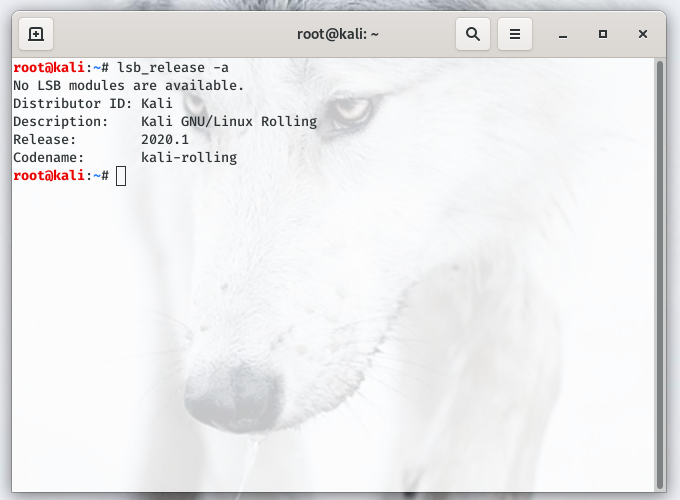 How to check your current version of Kali Linux - or any other Linux system