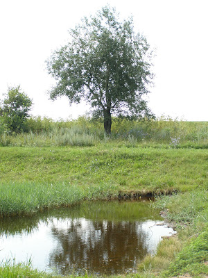 Село Зоривка, Новониколаевский район, Запорожская область  (фотографии)