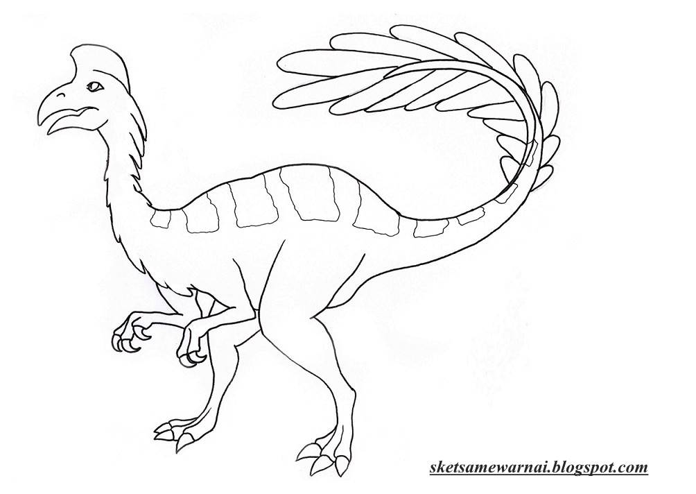  Sketsa  Mewarnai Gambar  Hewan DinoSaurus  Sketsa  Mewarnai