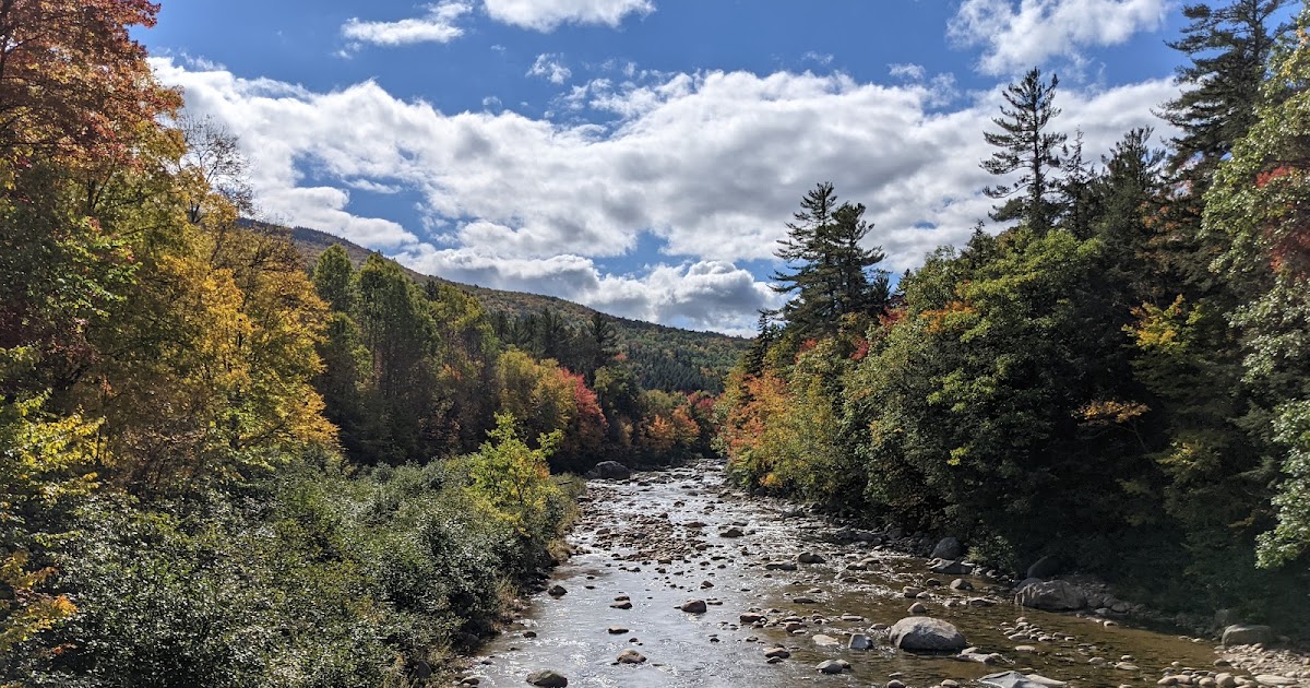Free Expertise for Academics: 2022 Fall Foliage Prediction Map