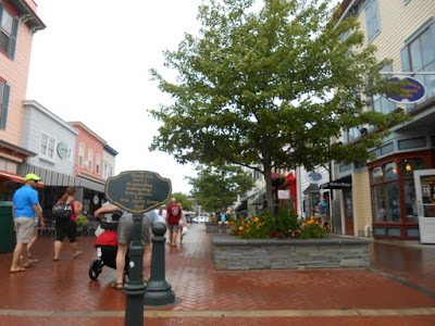 8 Great Places to Shop in Cape May New Jersey