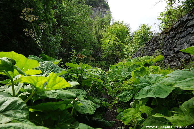 Chee Dale Walk