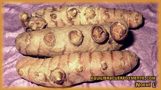 Curcuma para adelgazar