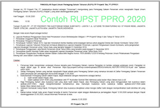 Contoh RUPS PPRO 2020