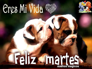 Imagenes con frases de feliz martes