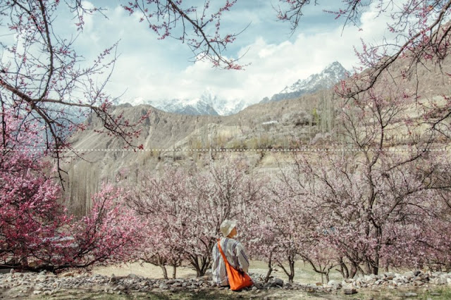 Ngắm cảnh đẹp thung lũng Hunza, Pakistan vào mùa xuân