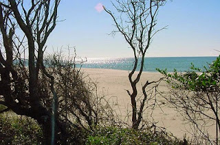 View the Atlantic Ocean and find Oak Island NC Real Estate for sale.