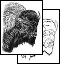 bison tattoo art design for body