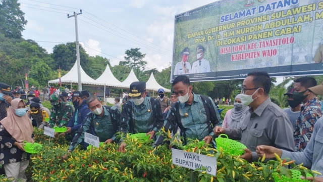 Harga Cabei Meroket,  Gubernur Sulsel Janjikan Bantuan Pupuk Cair