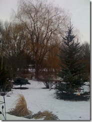 winter 008