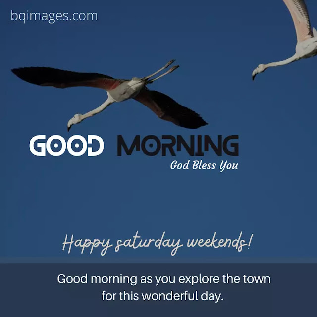 good morning Saturday wishes