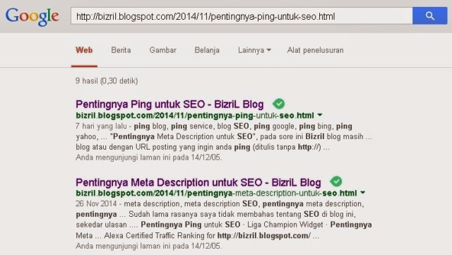 Pengunjung Dari Google-2