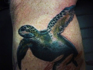 Realistic Turtle Tattoo Design