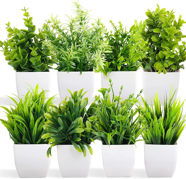 कितना सस्ता है, खरीदारी के लिए अभी जाएं यहां click करें Artificial Potted Plants