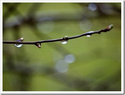 10th March 8