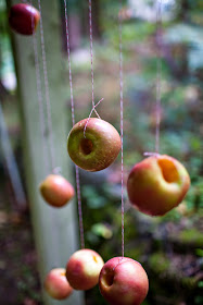 Halloween apple game