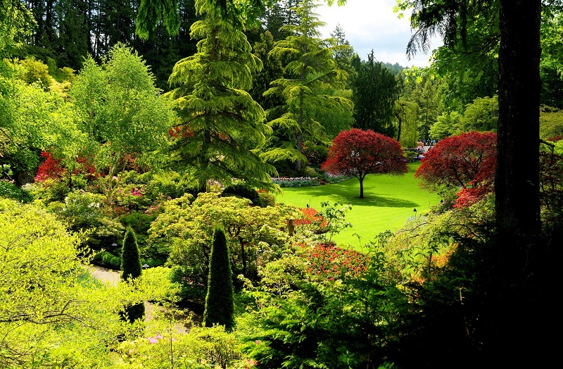 Butchart Gardens, Canada - A Group of Floral Display Gardens in Brentwood Bay