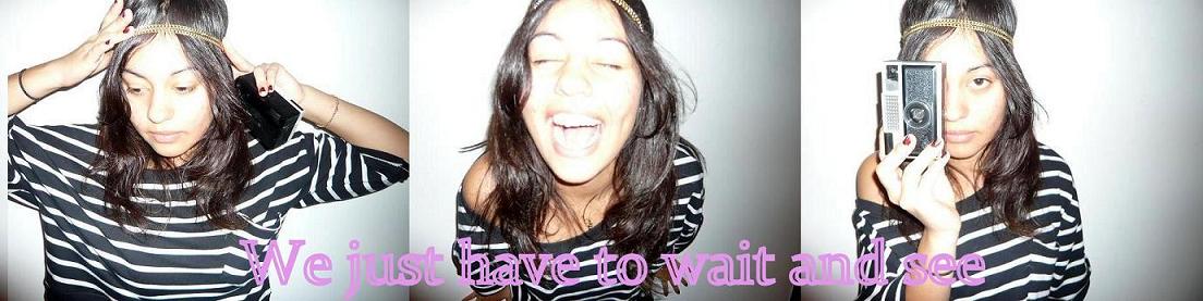 wejusthavetowaitandsee