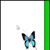 Beutiful Butterfly (Blue)