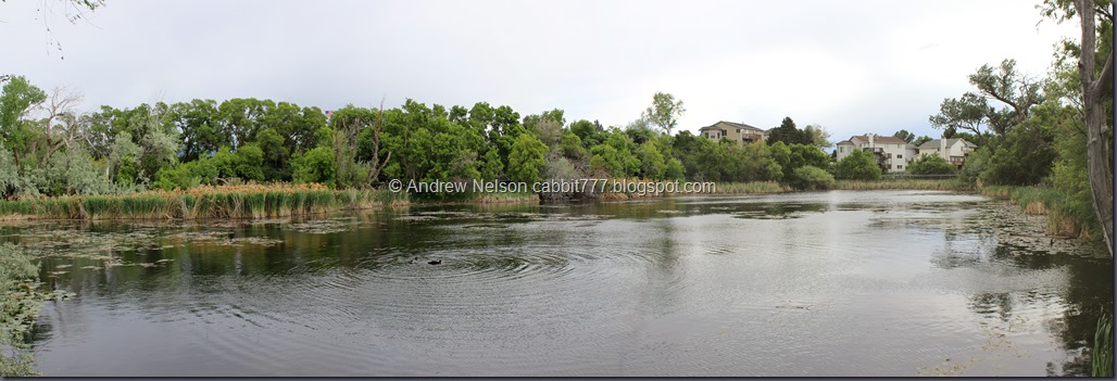 Glassman Pond