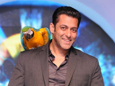 Salman Khan Wallpapers 2013