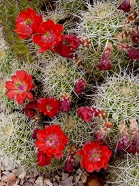 P1020536