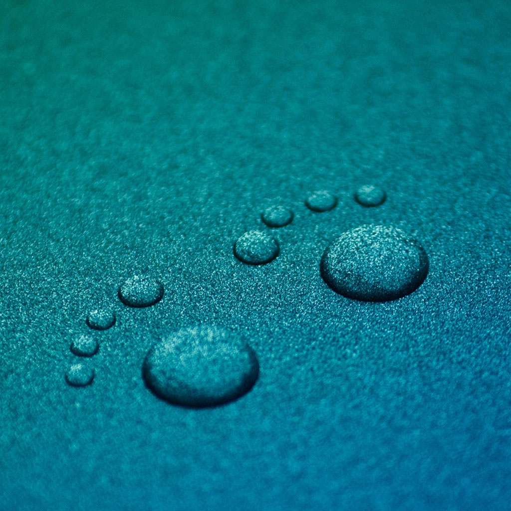 Download iPad Mini, iPad 2 and iPad 1 Wallpaper -Paw Water Drops Free