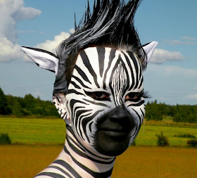 Zebra