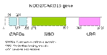 clip_image002