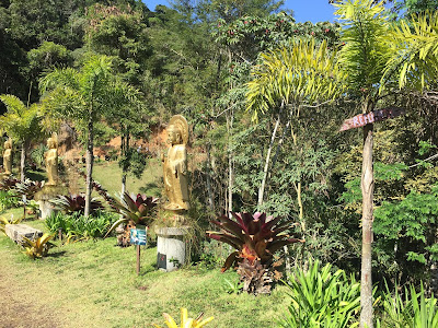 Caminho dos budas dourados