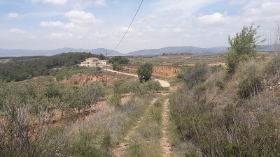 PR-C8 Santes Creus - Les Pobles - Castell de l'Albà- l'Albà - Santes Creus, camí a Mas Rubió